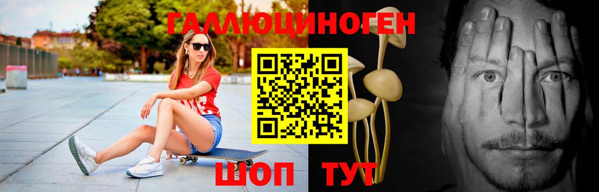 Борзя  Псилоцибиновые грибы Magic Shrooms  Вход с VPN 