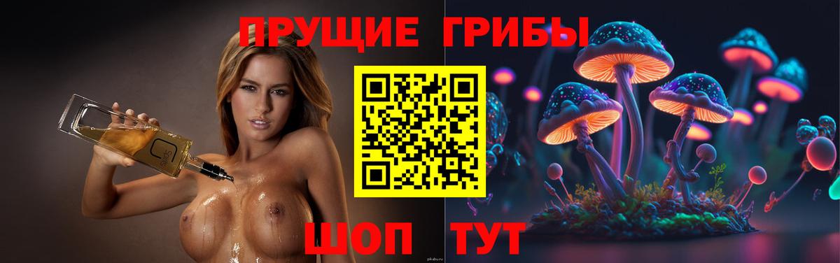 Псилоцибиновые грибы GOLDEN TEACHER Борзя